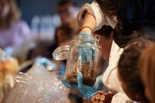 - Perfume Making Workshop