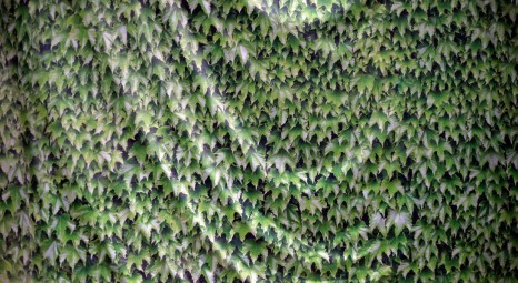 Talks - Artist Talk: Total Landscaping