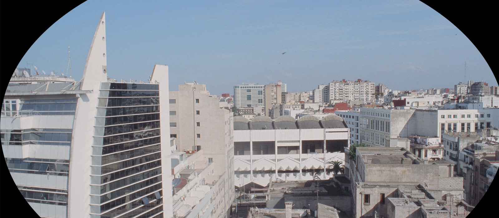 chahine-header-65b287e69c626.jpg (original)