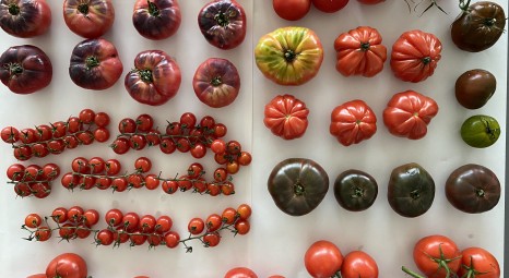 Workshops - Tablescaping:  A Workshop Through the Narration of a Story