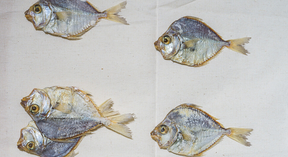 The Practice Lab - Can Raisins be Used to Marinate Fish and Meat? With Richi Bhatia