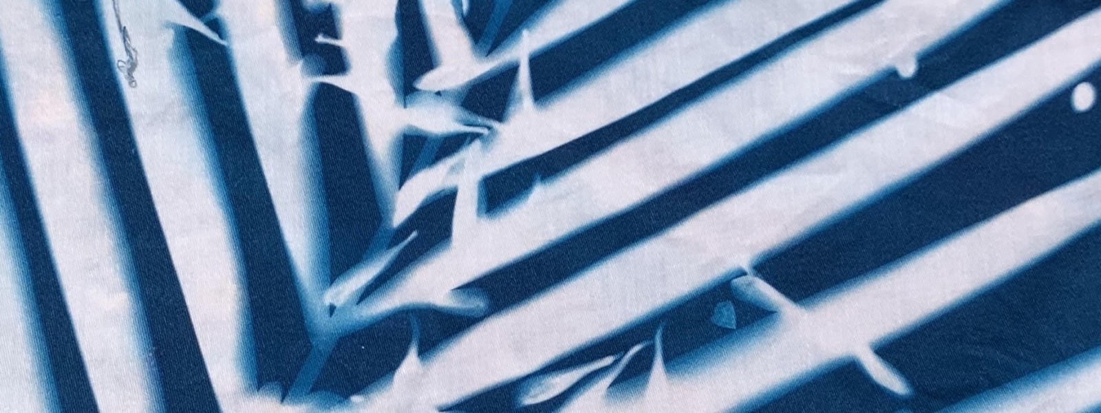Workshops - Cynaotype